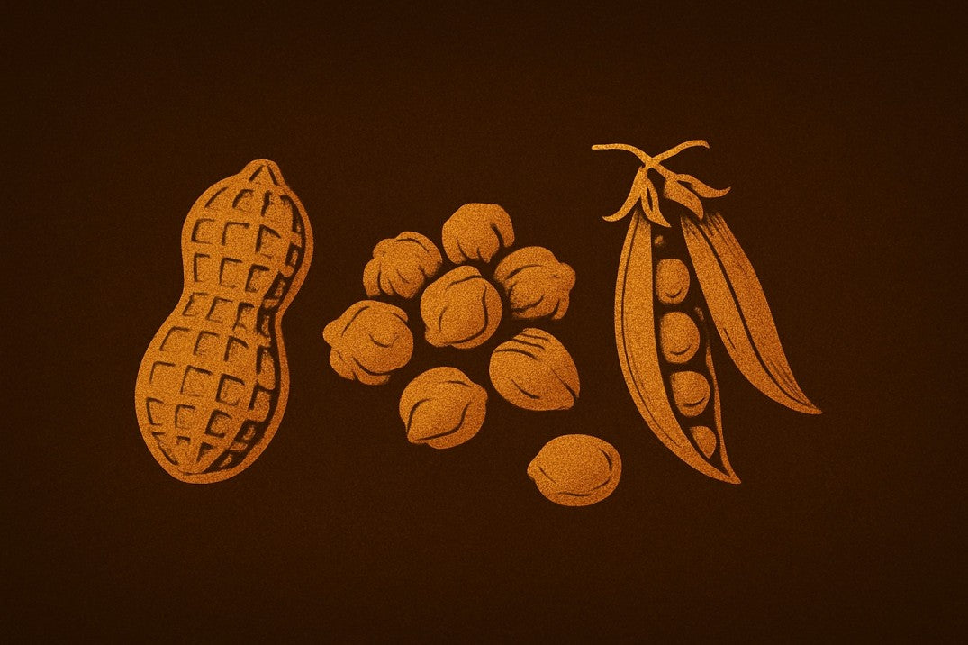 Protein Rich